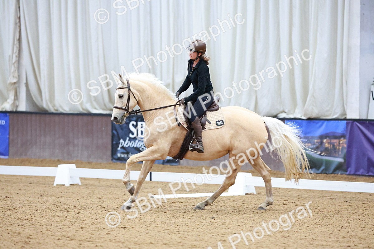 1I0A0631 - Class 3-6 - Prelim 1-Novice 2