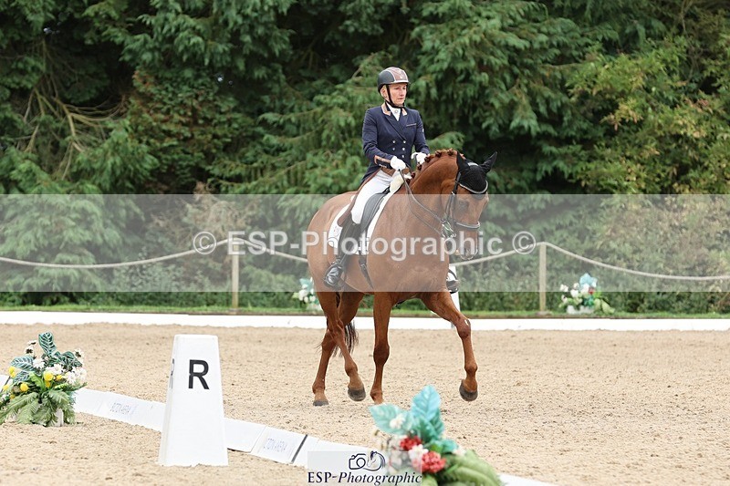 240810-161043-04338 - 219-Alice.Peternell-Insanity