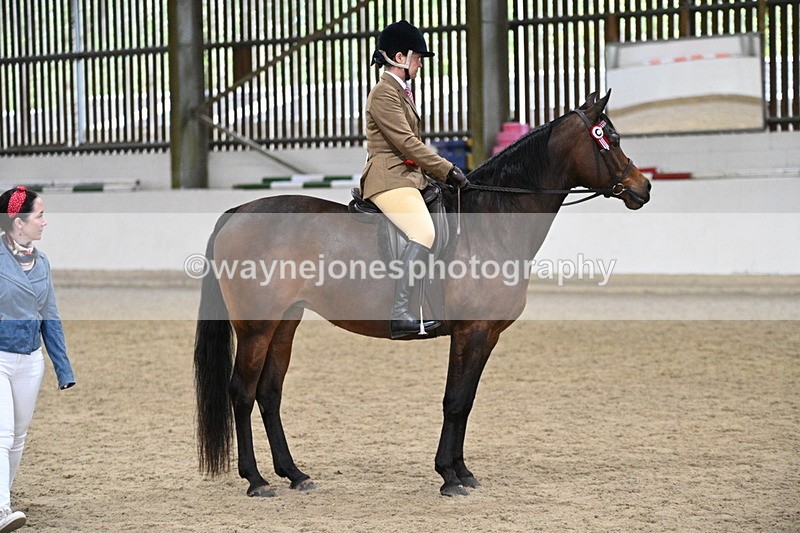 WJ7_4617 - Afternoon Champs