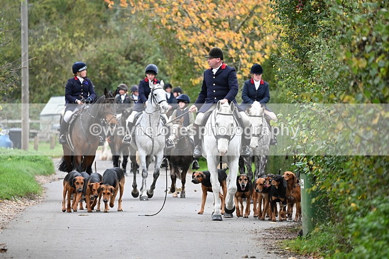 WJ6_8296 - Walk Home..