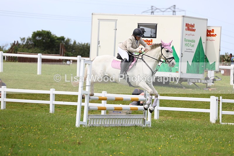 3E7A1678 - Class 13: Senior British Novice/90cm open
