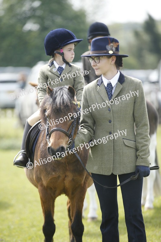 20260426-1911 - Class 7 - Pony Judge Would Most Like To Take Home