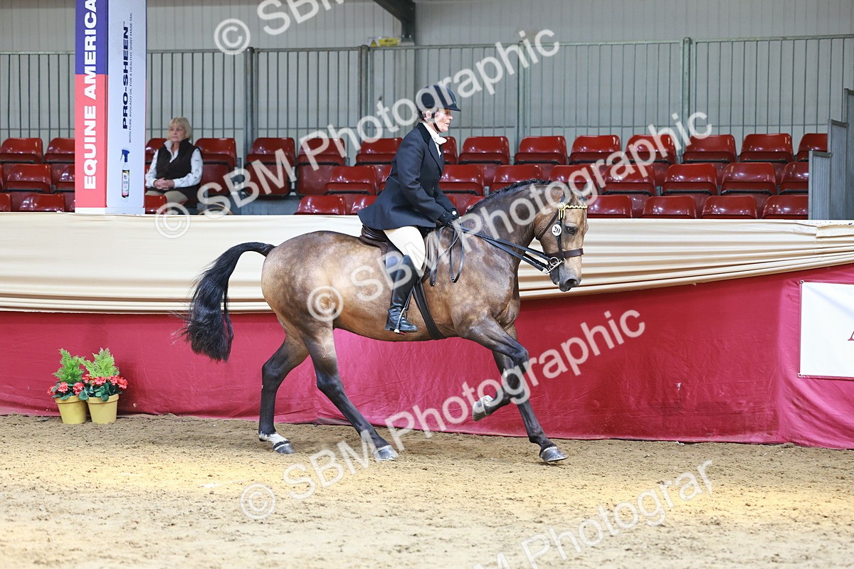 SBM_23928 - Class 905 - Supreme Final - Ridden Veteran