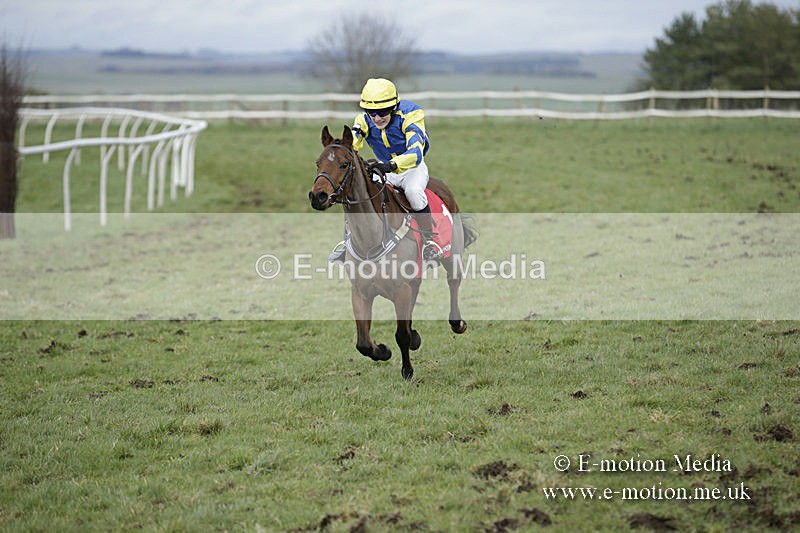 PtP 150320 0824 - New Forest Point-to-Point Larkhill 15/03/20