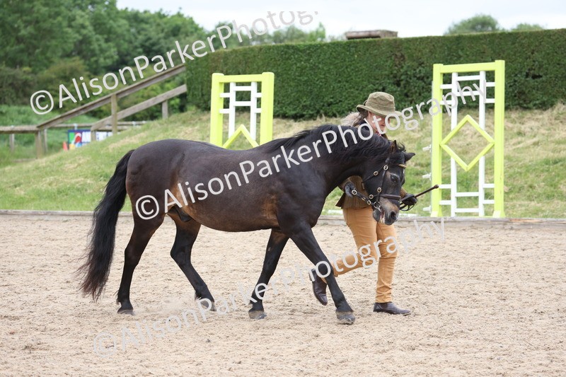 20250524-0786 - Class 7 - Veteran