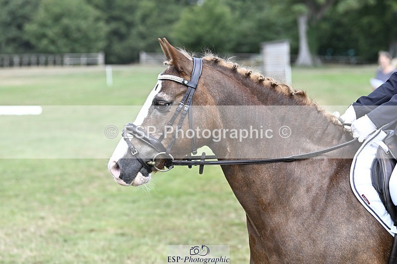 250821A-122950-15566 - DR 11.00 to 12.00