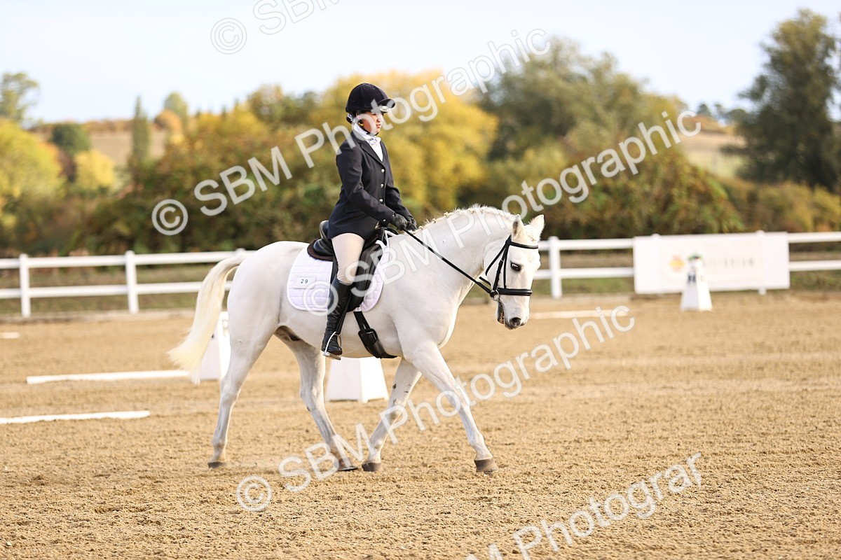 SBM_009009 - Class 2 - P5