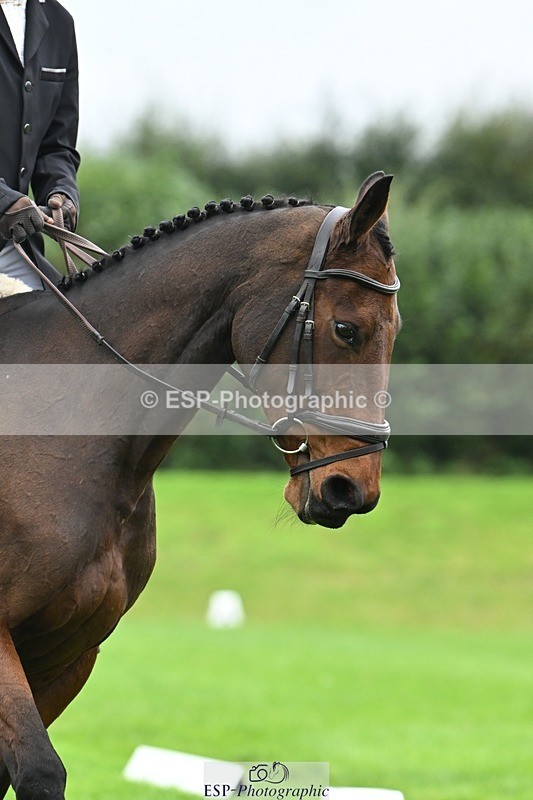 241024-110739-03149 - 504-Harry.Robinson-WHAT.A.WONDER