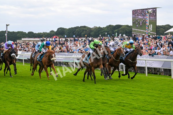 210824-Race 1-Jm Jungle-4510 - Race 1 1.50pm Symphony Group Handicap