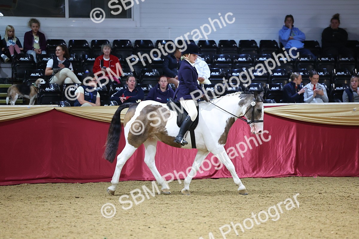 SBM_18555 - Class B Junior Champ 11-16 years