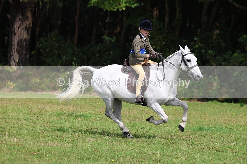 3E7A6096 - Working Hunter Championship