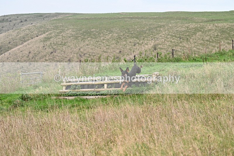 WJ7_9854 - Camera 1 & Last fence