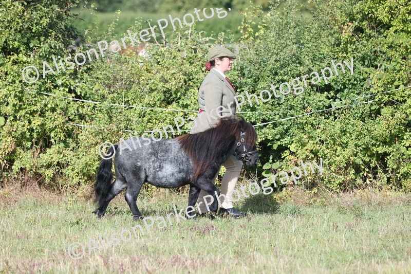 20250831-1308 - Class 21 - Inhand Open