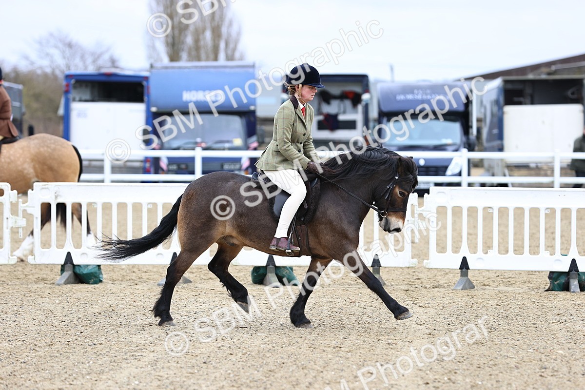 SBM_006860 - Class 29 - 30 - M&M Pure Novice Small-Large Breeds