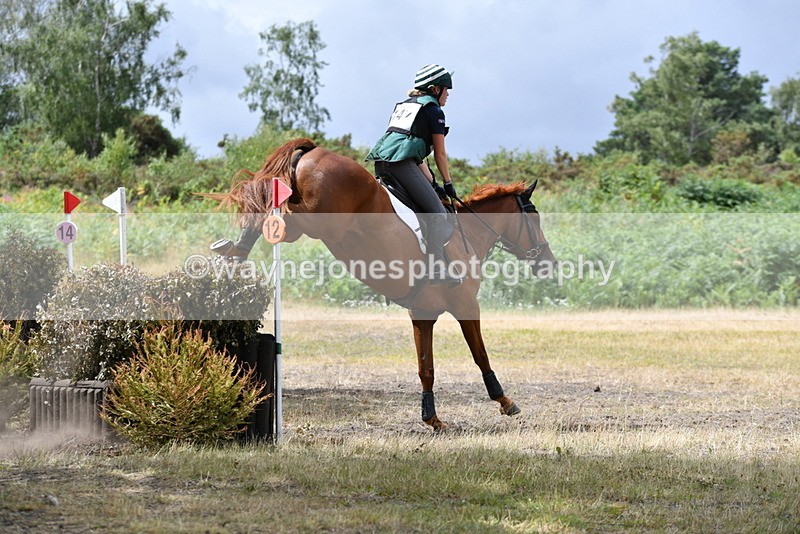 WJ5_1793 - XC Time 12:05 to 12:55