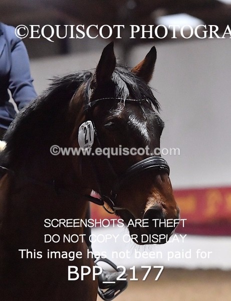 BPP_2177 - 27 - A CAMPOPIANO