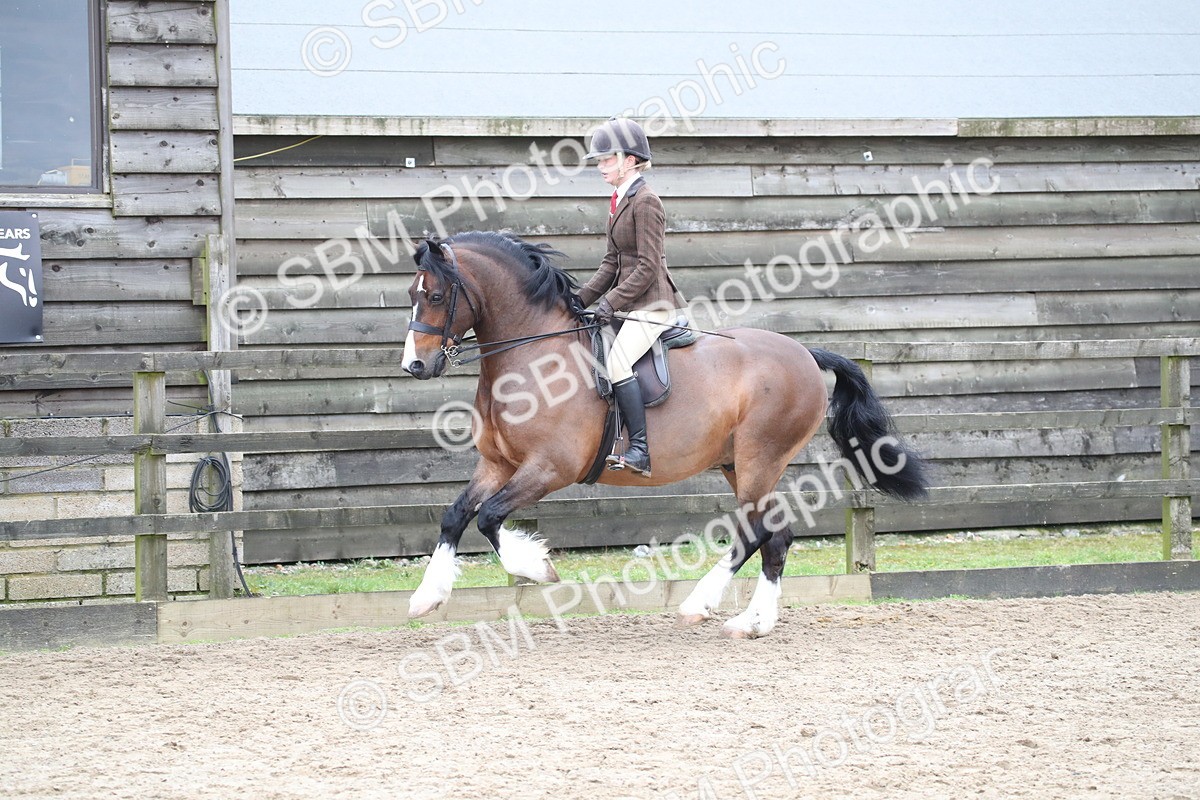 SBM_006387 - Class 10-13 - RIHS Small Large Breeds