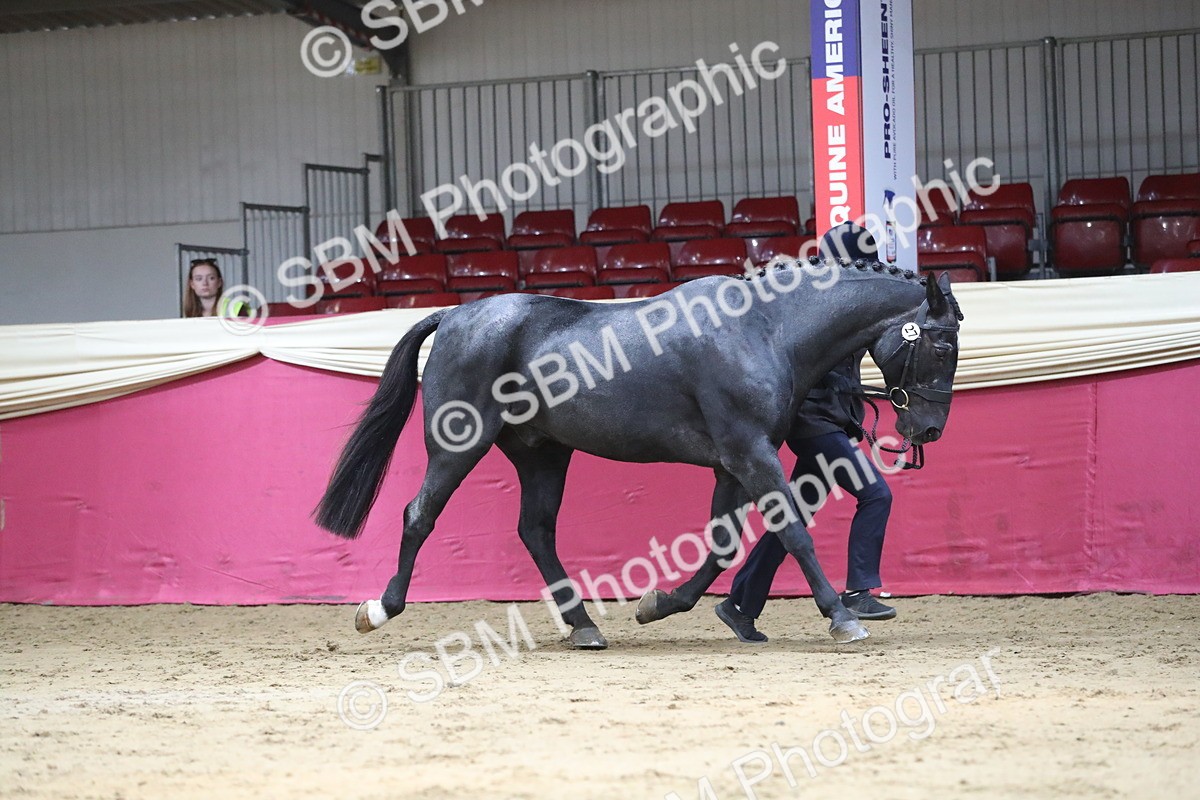 SBM_04353 - Class 7R Regional - IH Diamond