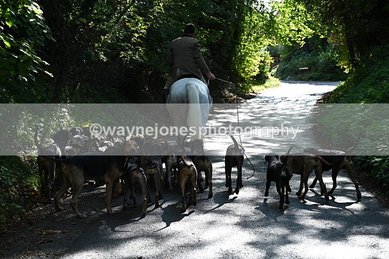 WJ7_6028 - Hounds Water Crossing