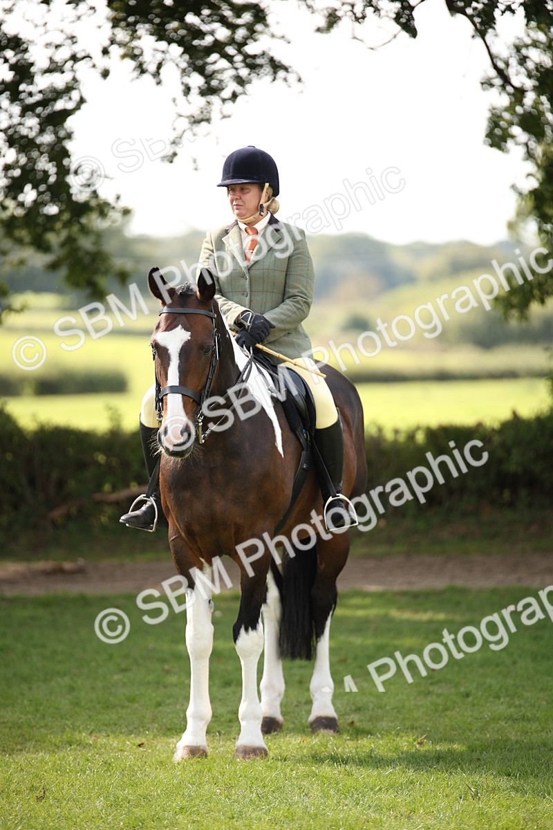 SBM_70139 - S65 - Piebald & Skewbald Horse Ridden
