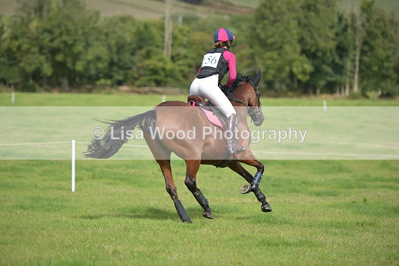 RAY_8808 - Class 2: Trekenning Open: Wall