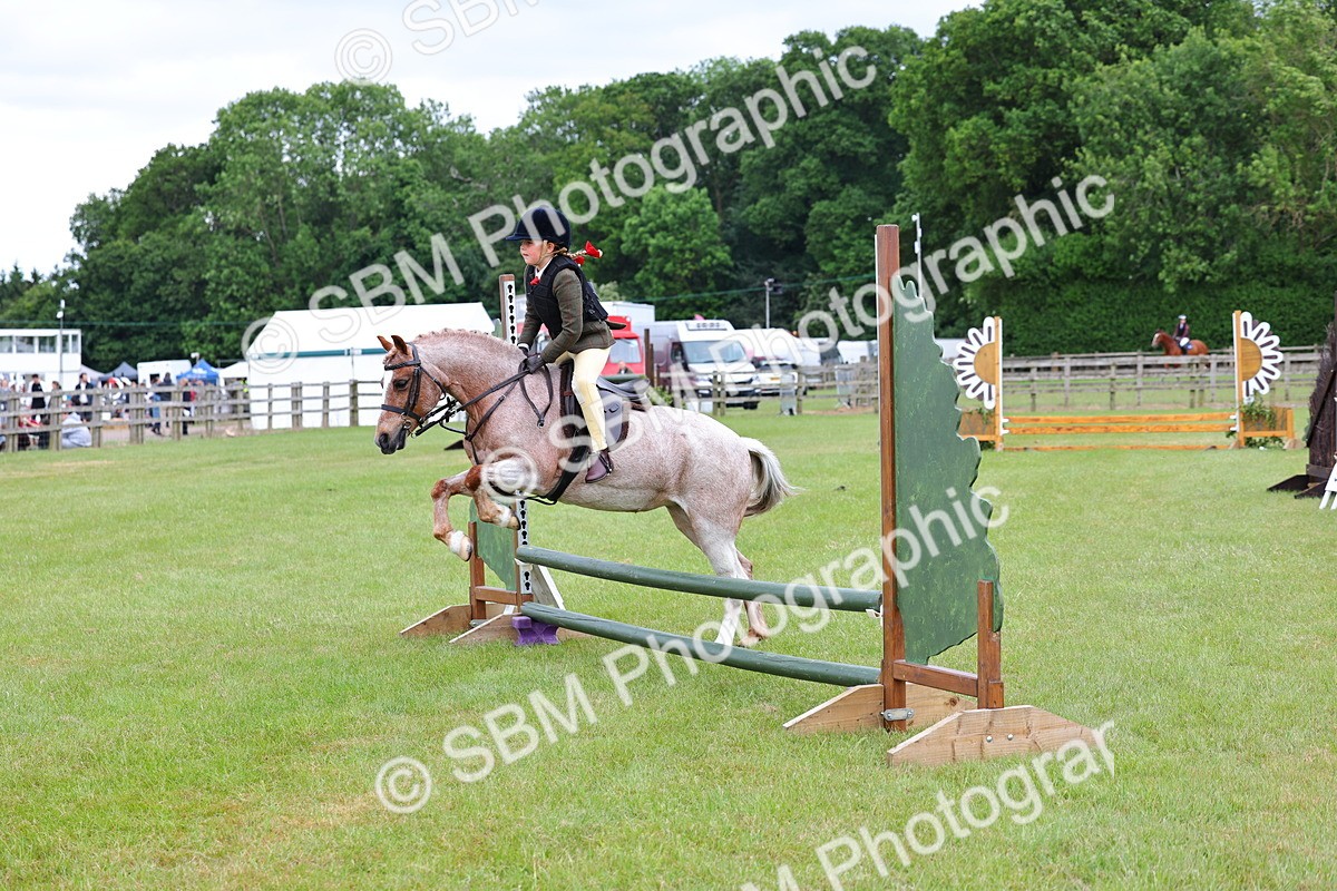 SBM_09408 - Class 44-45 - LIHS BSPS Open Nursery and Cradle Stakes
