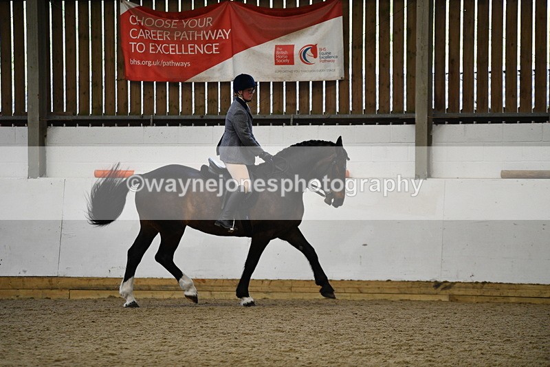 WJ5_7765 - Class 13 Ridden Part Breed