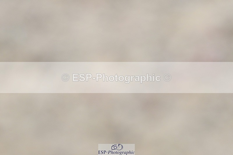 250621-143829-10686 - Cls 29 - Elementary 5, 14.10 to End