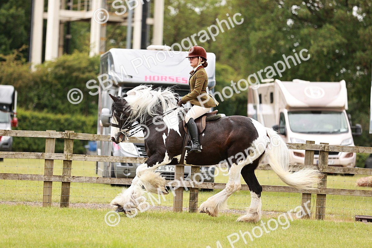 SBM_06145 - Class 39-41 TGCA In Hand and Ridden