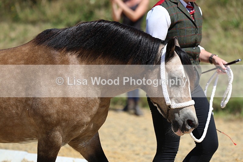 3E7A9616 - Class 32: Best Grass Kept