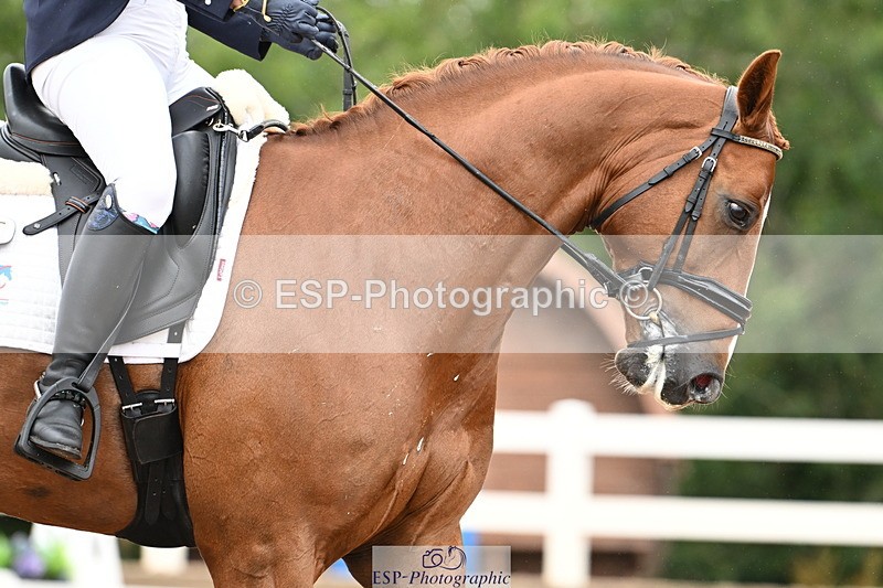 240815A-114802-00861 - 159-Verity.Perry-Bianchi