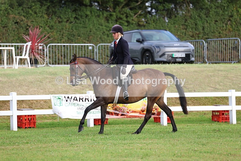 3E7A7804 - Class 1: Rising Star Small Hack/Riding Horses
