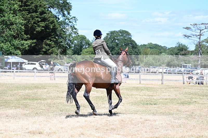 WJ7_3102 - Class 7 Riding Club Show Horse