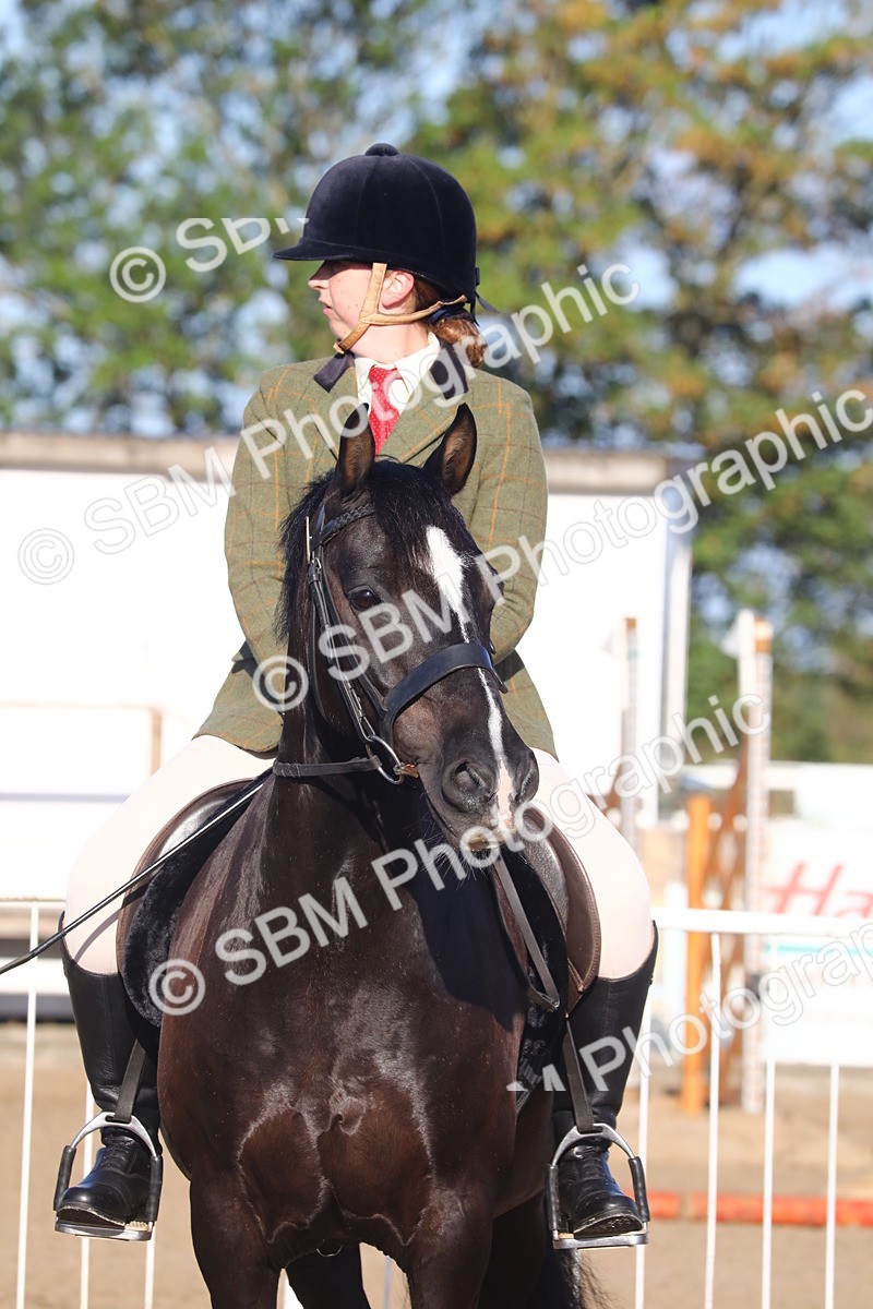 SBM_07882