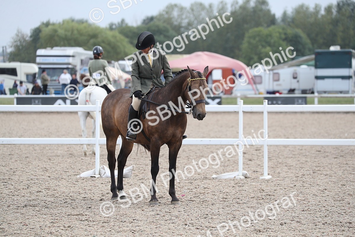 SBM_17402 - Class 315 Best Horse/Rider Combination