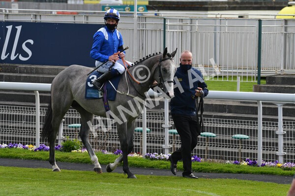 yr12052021r6-2 - Race 6 4.15pm British Stallion Studs EBF Novice Stakes