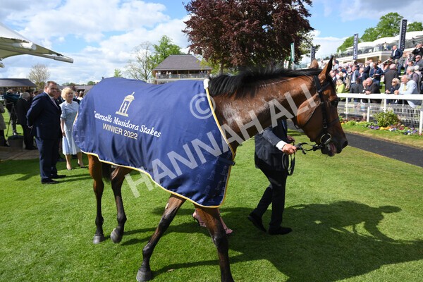 yr11052022r4-54 - Race 4 3.35pm Tattersalls Musidora Stakes
