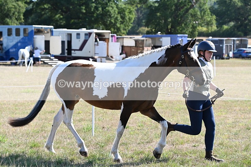 WJ6_4211 - Class 16 Condition & Turn Out