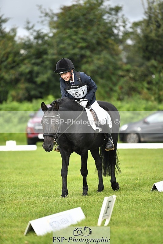 230826-095221-15272 - Sections C & D 9 to 10am