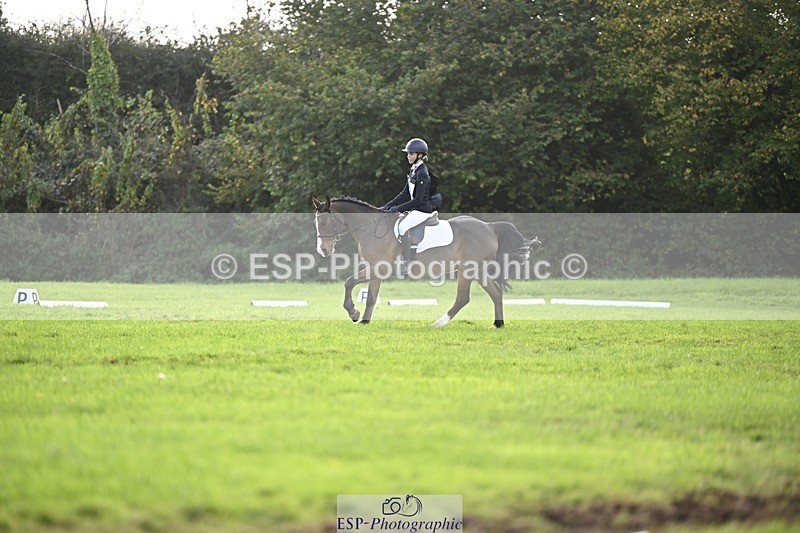 241025-121136-07030 - 375-Erin.Brown-50.SHADES.OF.BAY