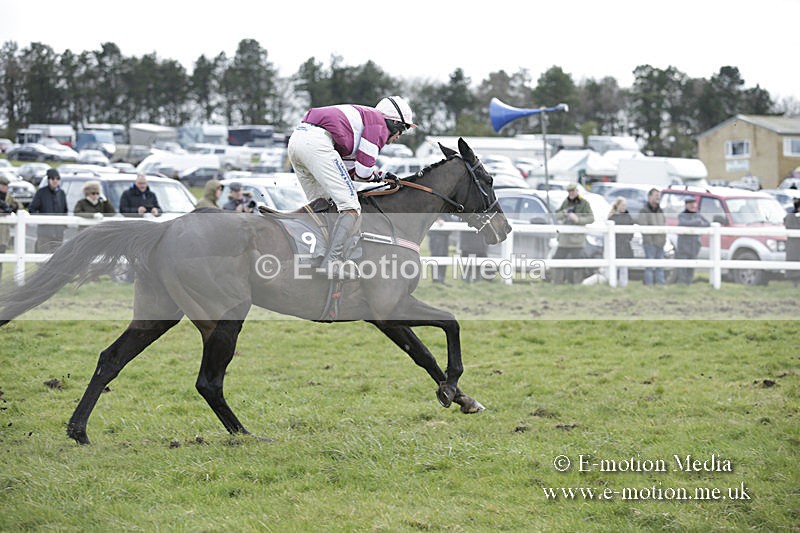 PtP 150320 0615 - New Forest Point-to-Point Larkhill 15/03/20