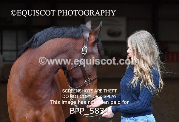 BPP_5831 - Marion West pony 3