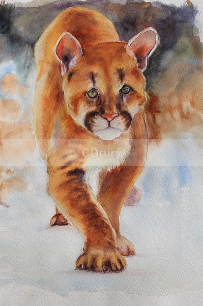 Stalker - Watercolor