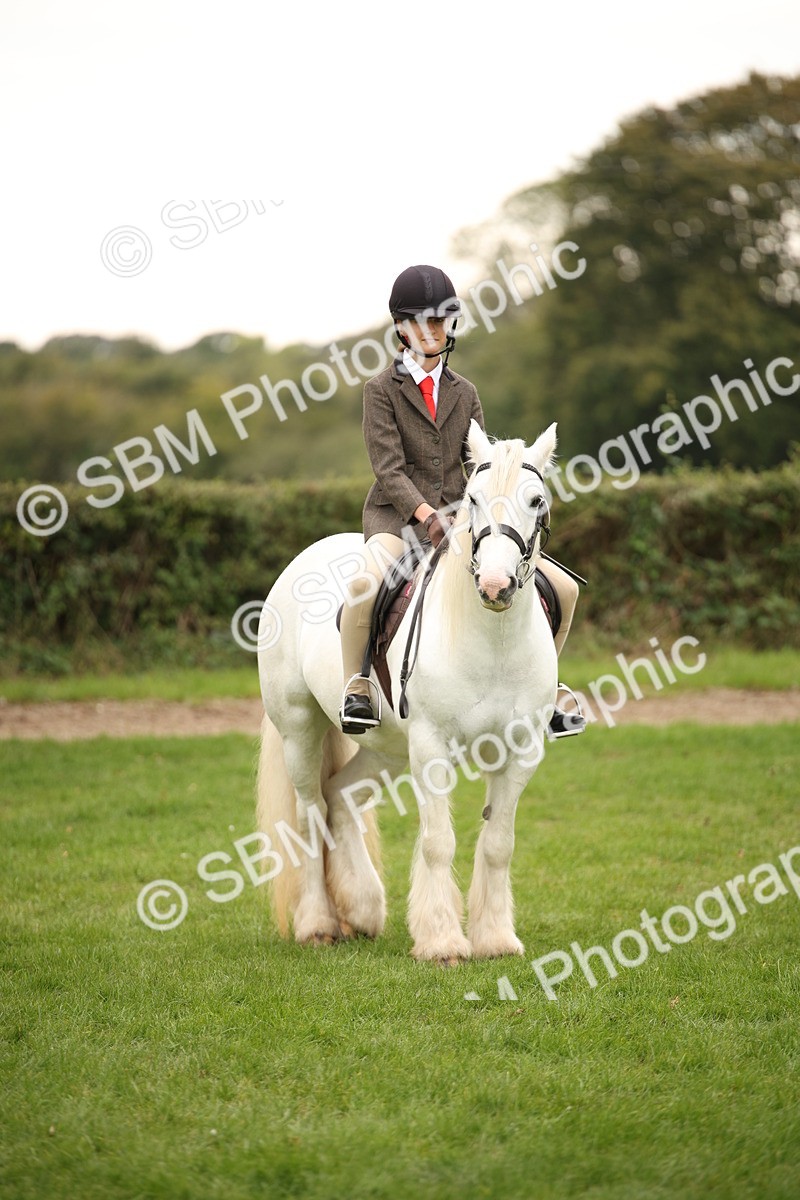 SBM_73566 - S68 - Traditional Cob Ridden