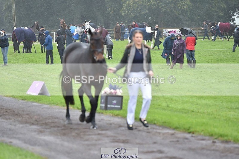 231018-121126-00127 - 021-DESTINY-Annie.Smith-TrotUp