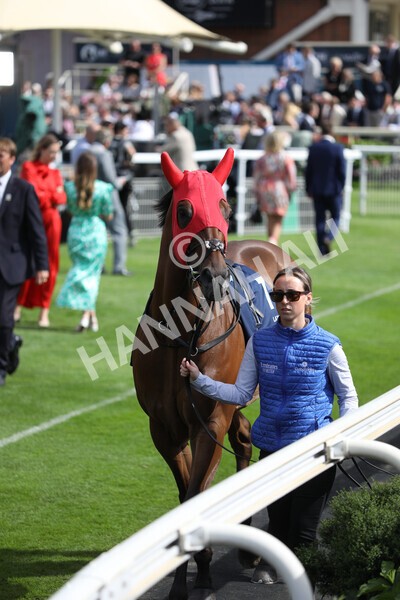yr19082022r4-20 - Race 4 3.35pm Coolmore Wootton Bassett Nunthorpe Stakes (British Champion Series Race)