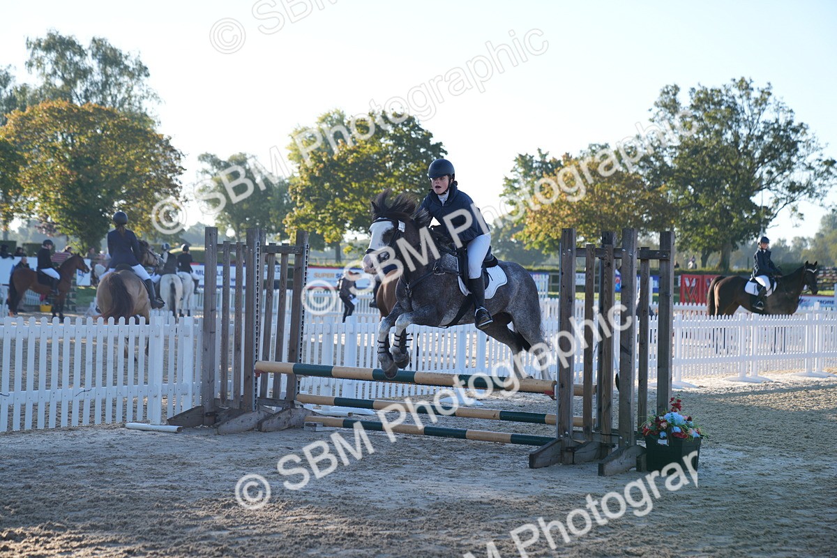 SBM_13980 - J59 - Clear Round - 65cm