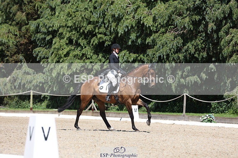 230526-142048-06503 - 373-BENGAL_LORE-Pippa_Taylor-WEDTrotUp+DR