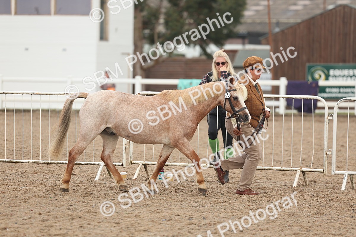 SBM_08462 - Class 29 - IH Veteran Pony