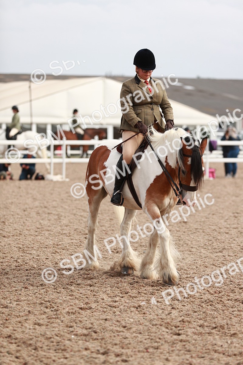 SBM_16799 - Class 214 Ridden Cob